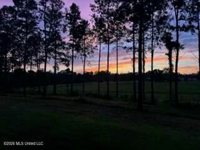 Private Osyka MS Homesite with Pond & Shop - image 24