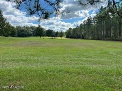 Private Osyka MS Homesite with Pond & Shop - image 34