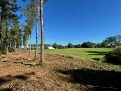 Private Osyka MS Homesite with Pond & Shop - image 26