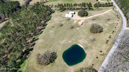 Private Osyka MS Homesite with Pond & Shop - image 13