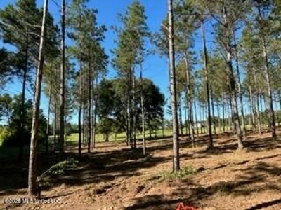 Private Osyka MS Homesite with Pond & Shop - image 31