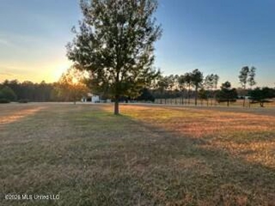 Private Osyka MS Homesite with Pond & Shop - image 44