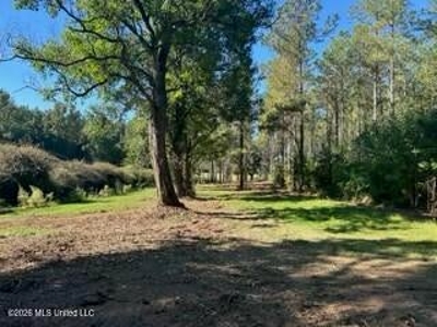 Private Osyka MS Homesite with Pond & Shop - image 30
