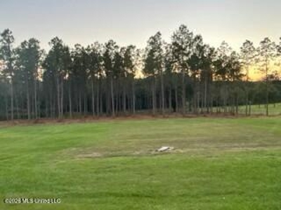 Private Osyka MS Homesite with Pond & Shop - image 32