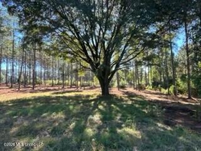 Private Osyka MS Homesite with Pond & Shop - image 29