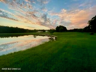 Private Osyka MS Homesite with Pond & Shop - image 46