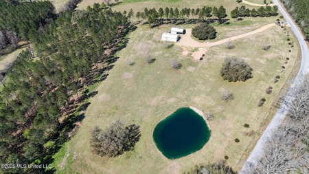 Private Osyka MS Homesite with Pond & Shop - image 1