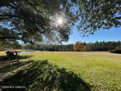 Private Osyka MS Homesite with Pond & Shop - image 45