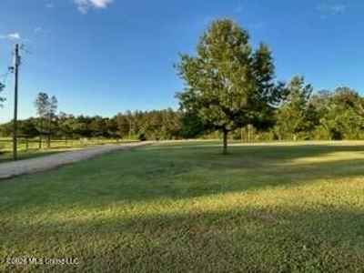 Private Osyka MS Homesite with Pond & Shop - image 20