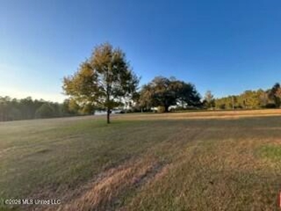 Private Osyka MS Homesite with Pond & Shop - image 41