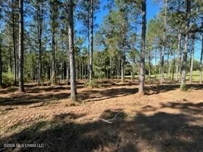 Private Osyka MS Homesite with Pond & Shop - image 28