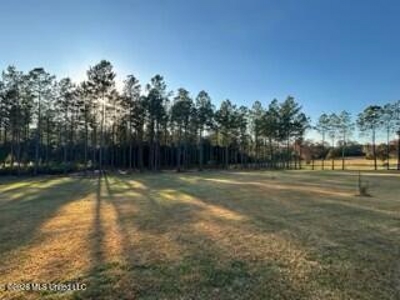Private Osyka MS Homesite with Pond & Shop - image 38