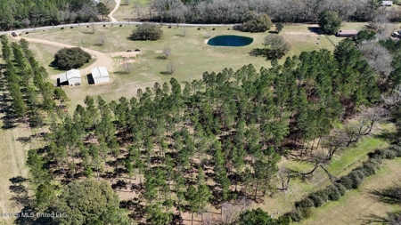 Private Osyka MS Homesite with Pond & Shop - image 7