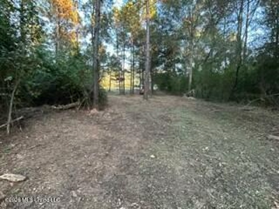 Private Osyka MS Homesite with Pond & Shop - image 40