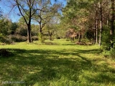 Private Osyka MS Homesite with Pond & Shop - image 5