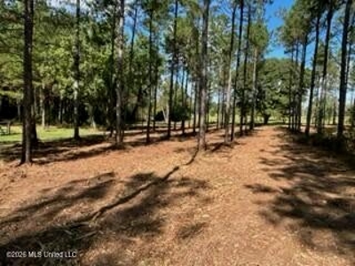 Private Osyka MS Homesite with Pond & Shop - image 33
