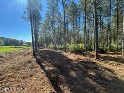 Private Osyka MS Homesite with Pond & Shop - image 27