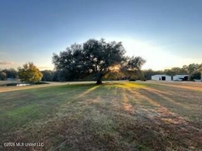 Private Osyka MS Homesite with Pond & Shop - image 43