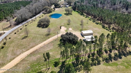Private Osyka MS Homesite with Pond & Shop - image 9