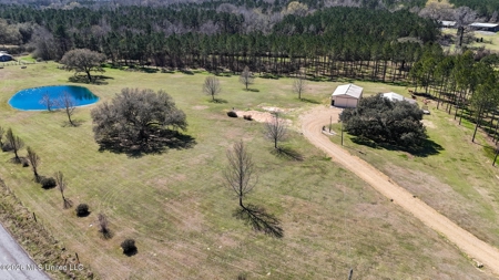 Private Osyka MS Homesite with Pond & Shop - image 10