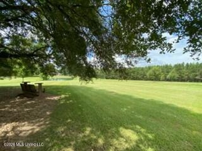 Private Osyka MS Homesite with Pond & Shop - image 6