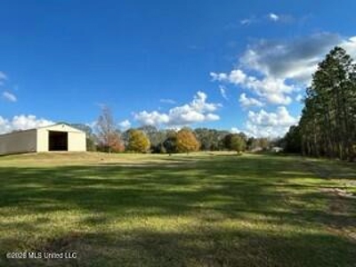 Private Osyka MS Homesite with Pond & Shop - image 18