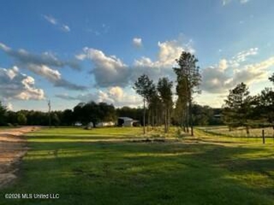 Private Osyka MS Homesite with Pond & Shop - image 22