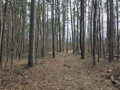 Acreage on Kiamichi River -  National Forest Area - image 20