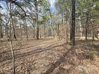 Acreage on Kiamichi River -  National Forest Area - image 17