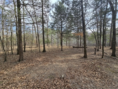 Acreage on Kiamichi River -  National Forest Area - image 19