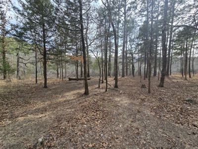 Acreage on Kiamichi River -  National Forest Area - image 18