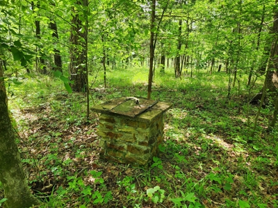Acreage on Kiamichi River -  National Forest Area - image 7