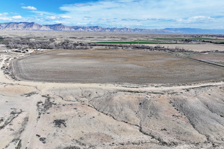 Irrigated Acreage with Home For Sale in Fruita, Colorado - image 27