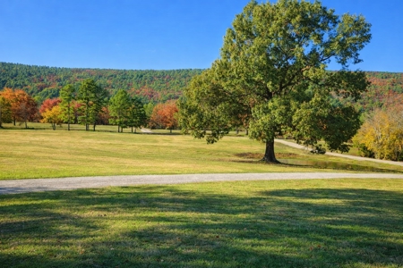 Kiamichi Mountain Ranch Home with Covered Arena - image 10
