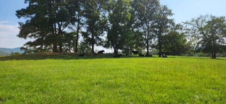 Kiamichi Mountain Ranch Home with Covered Arena - image 23