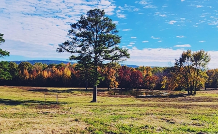 Kiamichi Mountain Ranch Home with Covered Arena - image 14
