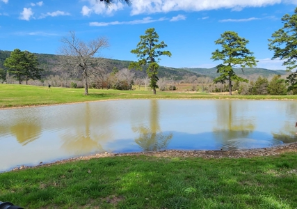 Kiamichi Mountain Ranch Home with Covered Arena - image 20