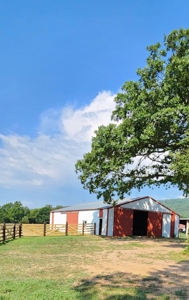 Kiamichi Mountain Ranch Home with Covered Arena - image 13