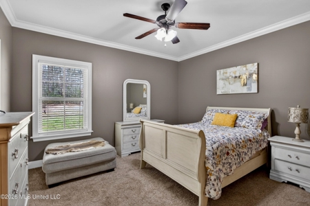 5BR 3544 Sq Ft Home for Sale on 19 Acres in Pike County MS - image 32