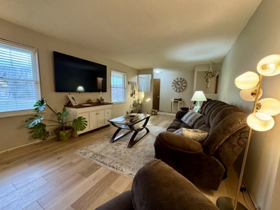 Arkansas Home And Land For Sale In North Central Arkansas - image 6