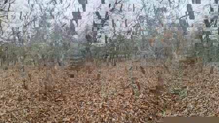 Lake Thunderhead Lot in Unionville, Missouri For Sale - image 5