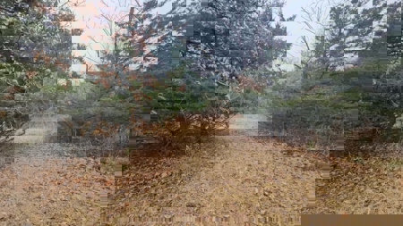 Lake Thunderhead Lot in Unionville, Missouri For Sale - image 1