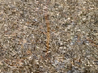 Lake Thunderhead Lot in Unionville, Missouri For Sale - image 9