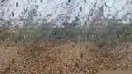 Lake Thunderhead Lot in Unionville, Missouri For Sale - image 12