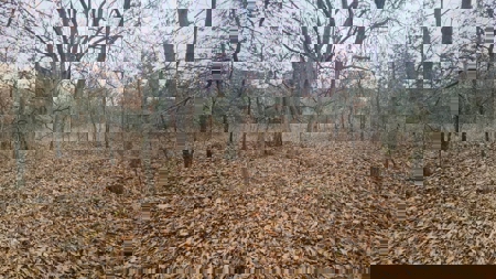 Lake Thunderhead Lot in Unionville, Missouri For Sale - image 11