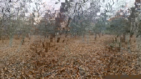 Lake Thunderhead Lot in Unionville, Missouri For Sale - image 2