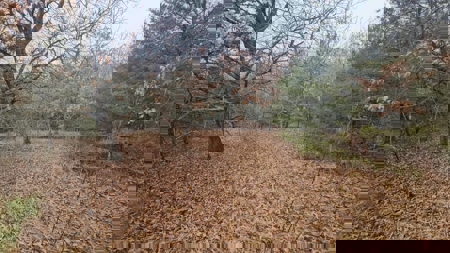 Lake Thunderhead Lot in Unionville, Missouri For Sale - image 4