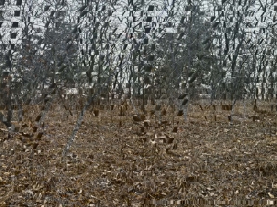 Lake Thunderhead Lot in Unionville, Missouri For Sale - image 8