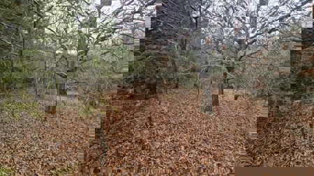 Lake Thunderhead Lot in Unionville, Missouri For Sale - image 3