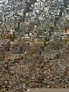 Lake Thunderhead Lot in Unionville, Missouri For Sale - image 10